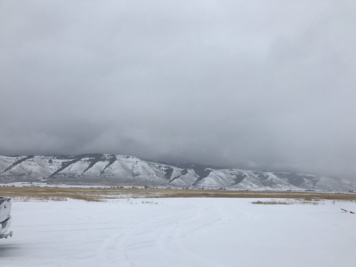 E5C55993-0F6B-4B3C-A818-5A5DB64FC136.jpeg