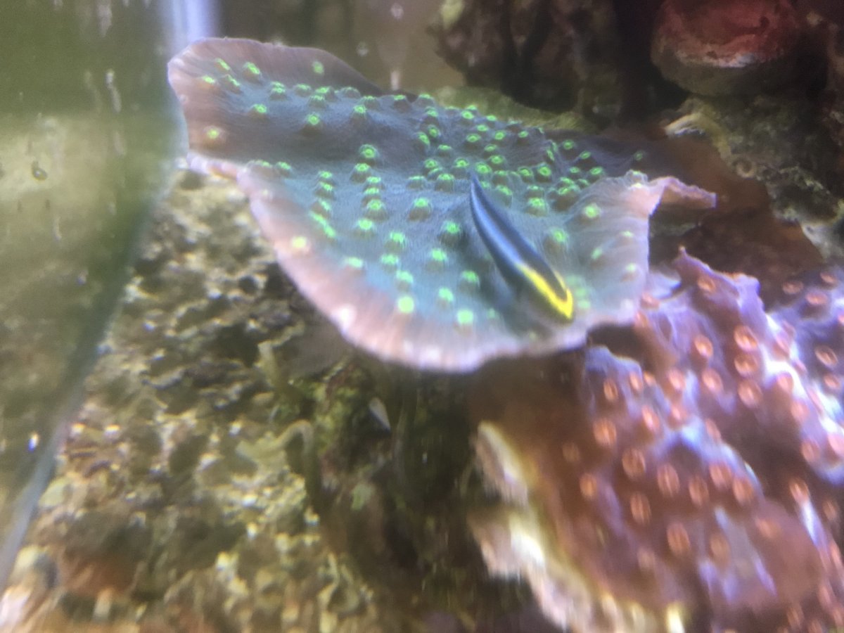 E5D439CB-3DCB-445F-A2D0-10E84F7A7653.jpeg