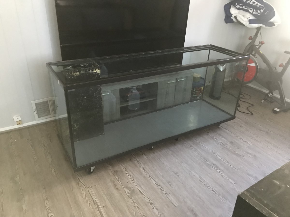 Build Thread - Lost in a Reef’s 200+ gal budget build! | Reef2Reef