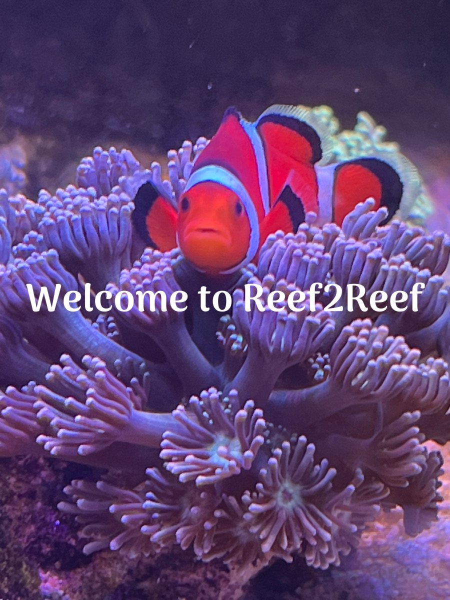 E6155547-C3EE-45E9-A4CA-28A93633EEC6.jpeg