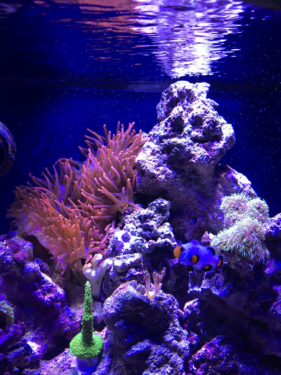 E63F0218-2170-43A3-A9AB-4C520CD3F947.jpeg