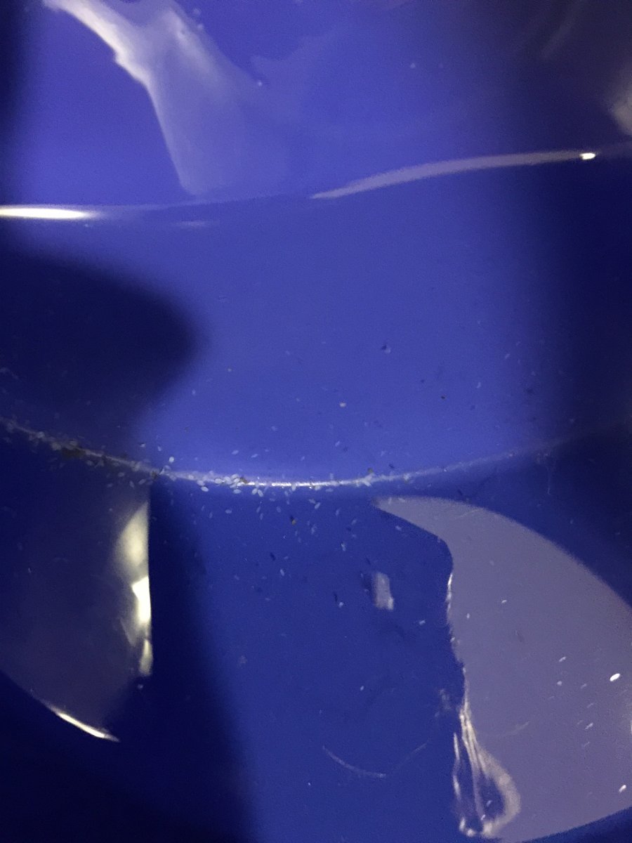 E758729C-D381-4282-AAB2-4DB28EDEEA30.jpeg