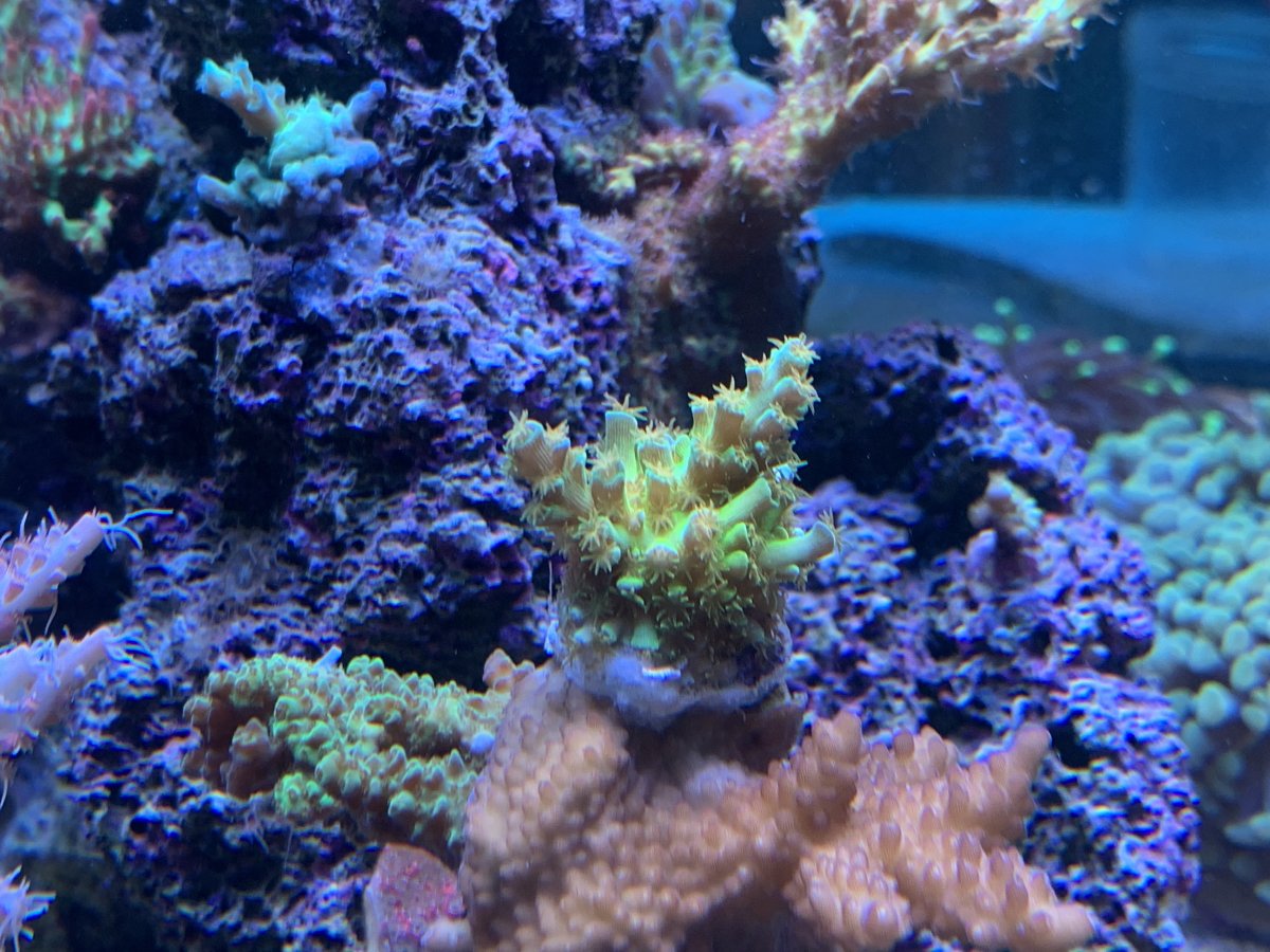 E76539C3-8DF8-45CD-B60A-F3F7F22F5FA8.jpeg