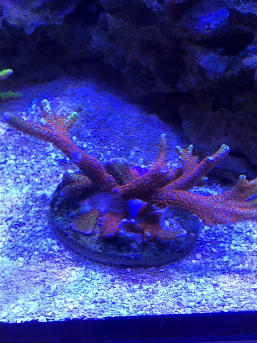 E7B5F71C-CCC1-4438-93F0-1F6FD546767F.jpeg