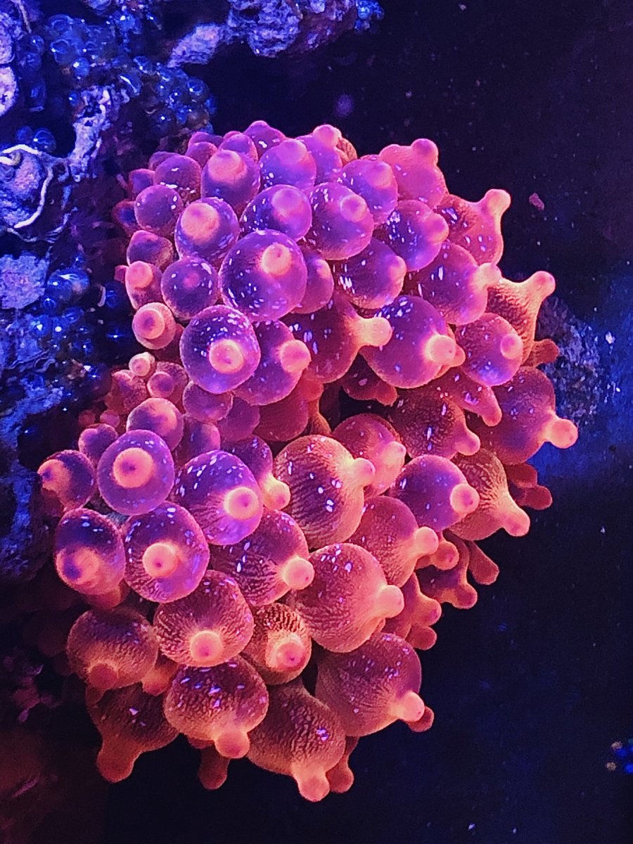 E7CA733A-2F31-417D-AA22-C1A0B5190F72.jpeg