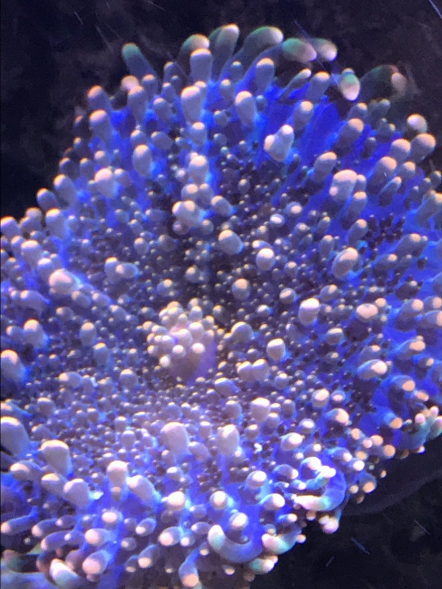 E7DF4DEC-8946-476F-8C8B-198630C7D832.jpeg
