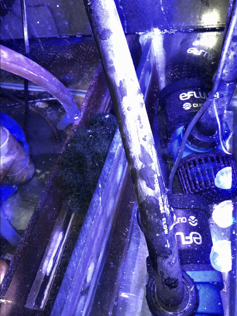 E8386856-03F6-4EB4-9CCC-04C46F2B1D66.jpeg