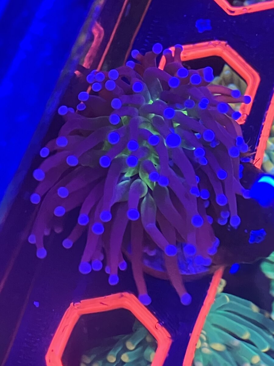 E85E1F0E-EF8D-42D0-8892-97DDB38C96F5.jpeg