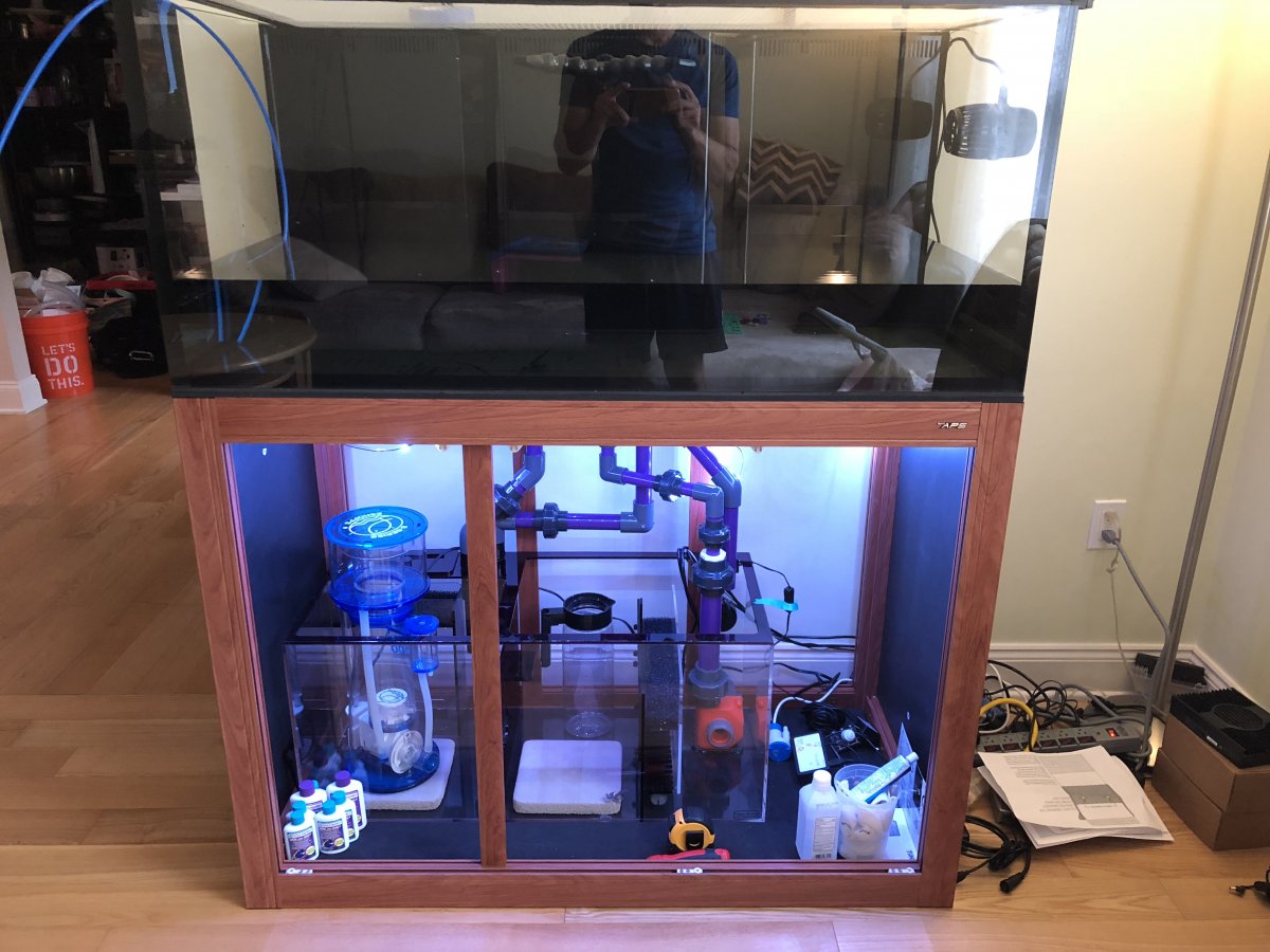 Innovative Marine INT Tanks | Page 2 | REEF2REEF Saltwater and Reef ...