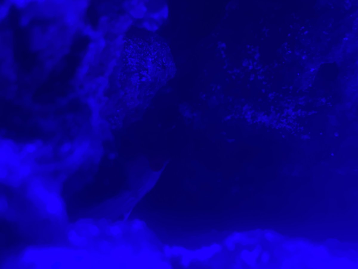 E87FE5C1-671A-40E9-9D89-E162FCC5E461.jpeg