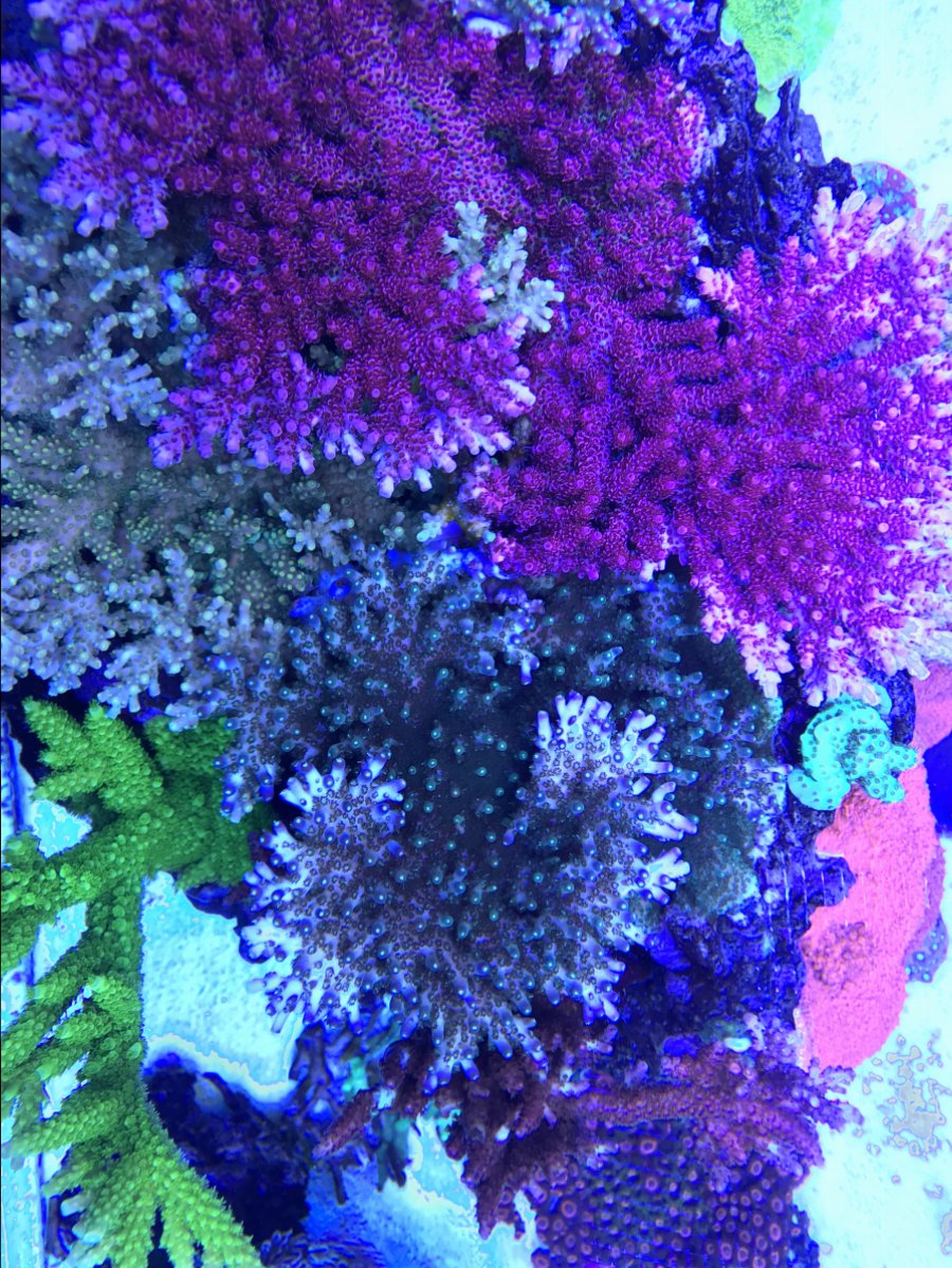 E89B4445-D2BB-4CCF-AFD8-2FDD7ADE861E.jpeg