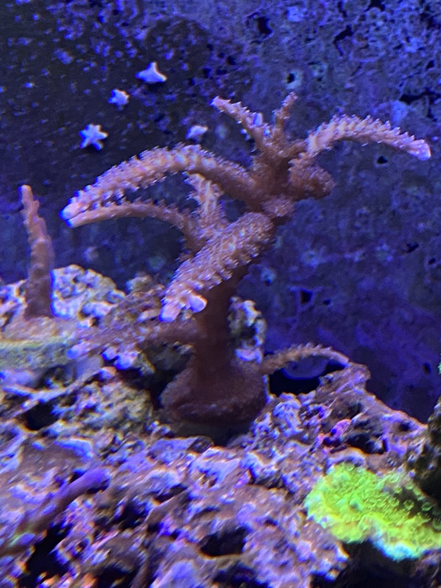 E8D03552-C89B-469D-892B-E7FCE5BE97F4.jpeg