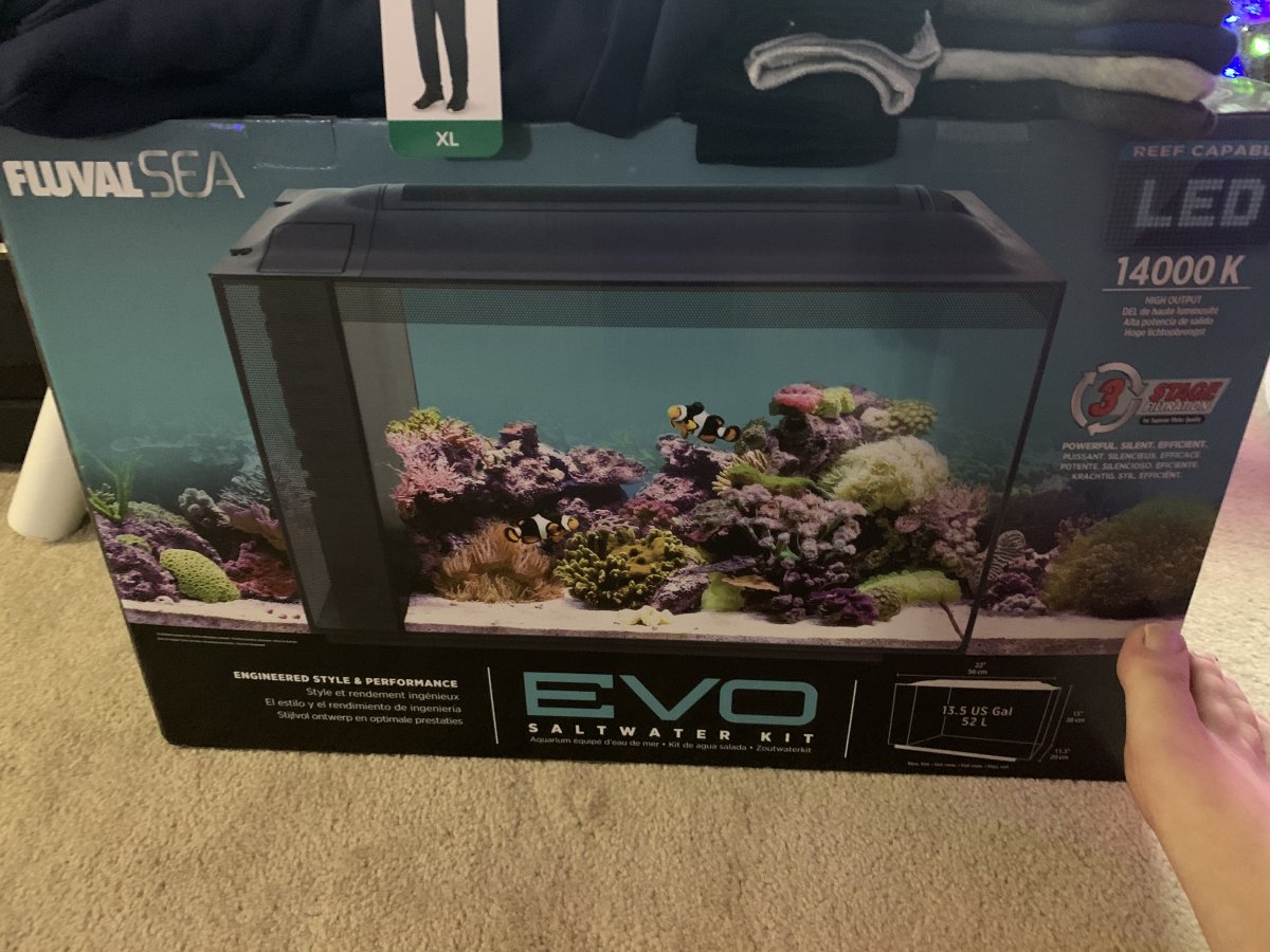 Nano Build - Tank #2 - Skull Scape - Fluval EVO 13.5 | Reef2Reef