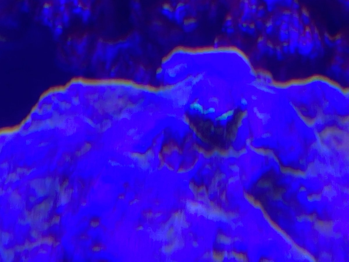 E9FE0215-54C0-4BAA-BF15-C00916FAA5C6.jpeg