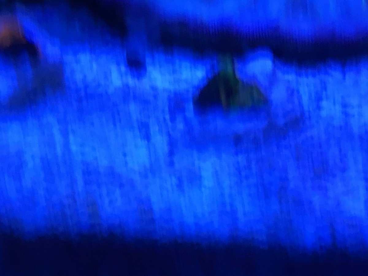 EA1047B4-62E5-4A51-BE86-38E28FCF3C38.jpeg