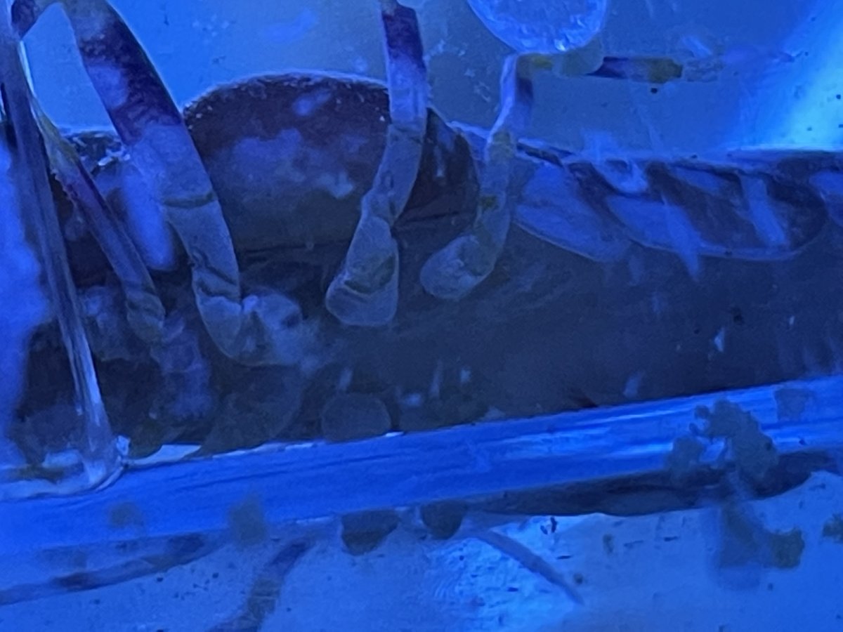 EAB5C53E-A84A-4A37-9F97-475E65C2EE21.jpeg