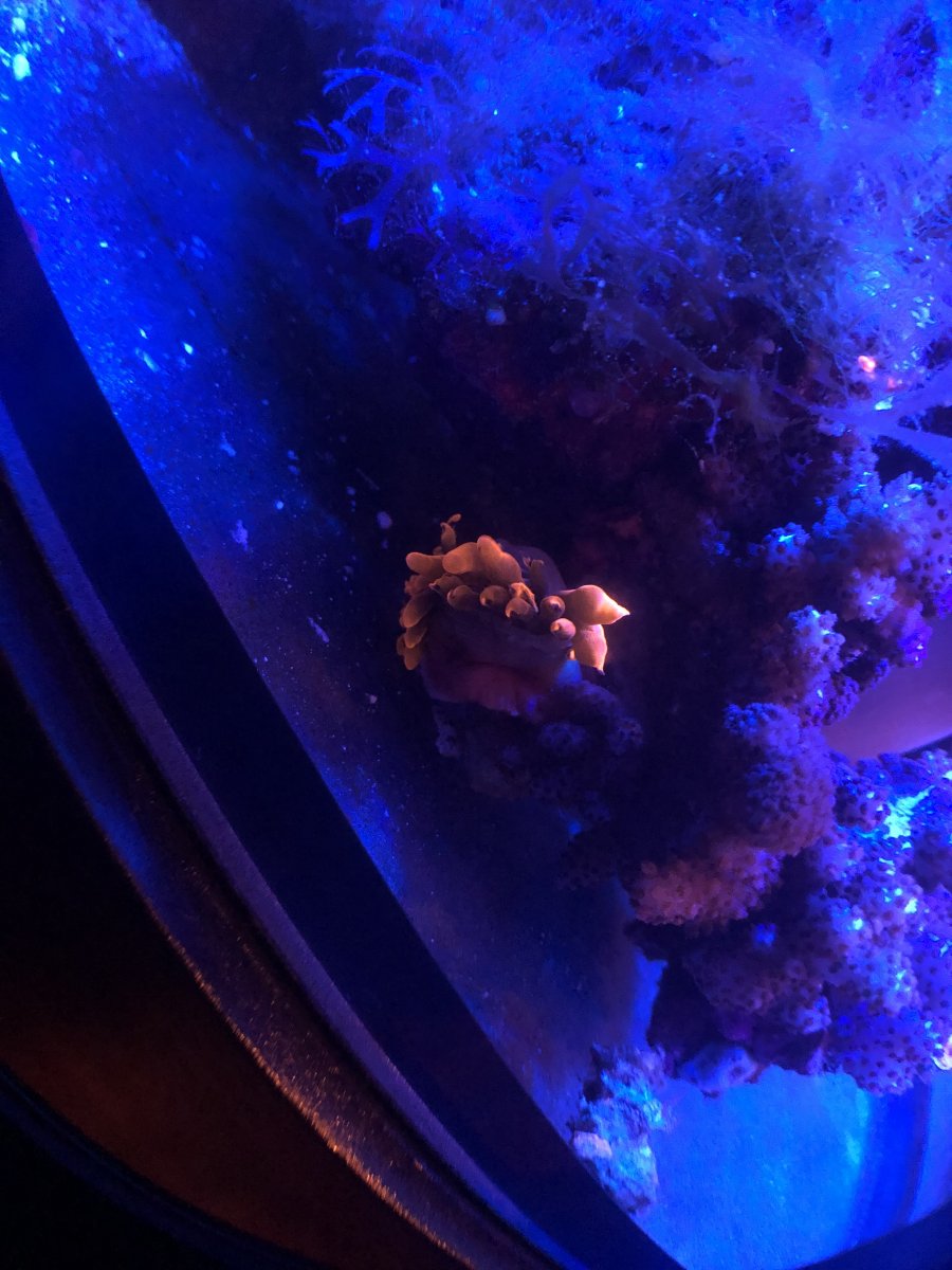 EAB8A871-7197-43BB-8FAE-31EE090366BA.jpeg