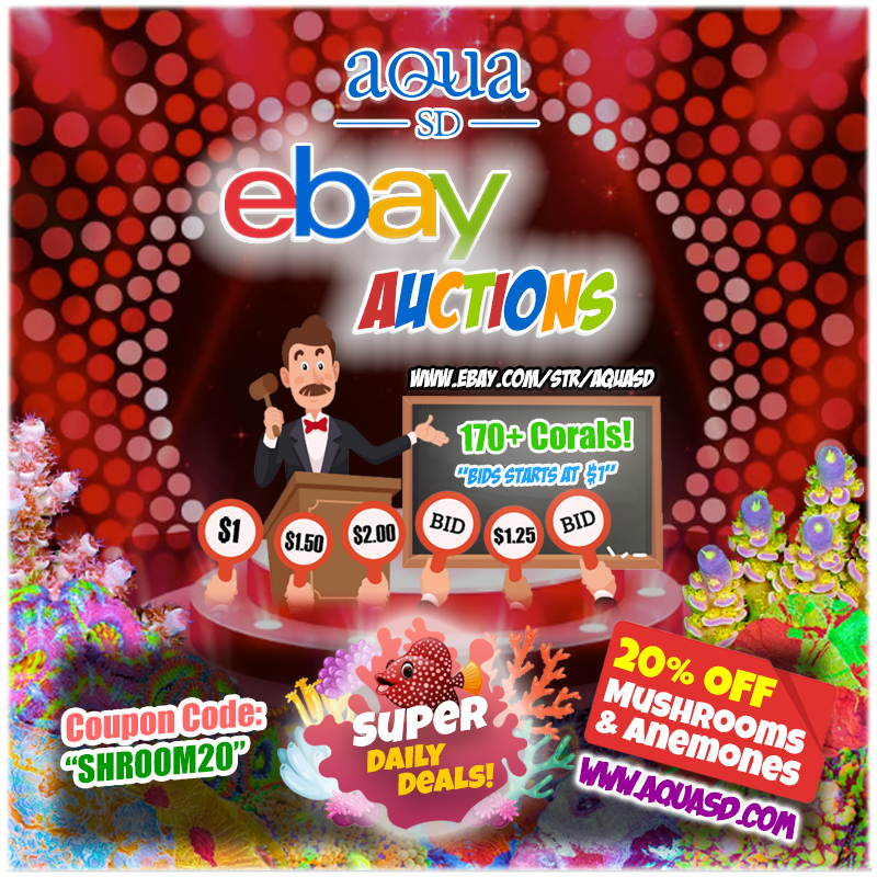 Ebay-01-04-24.png
