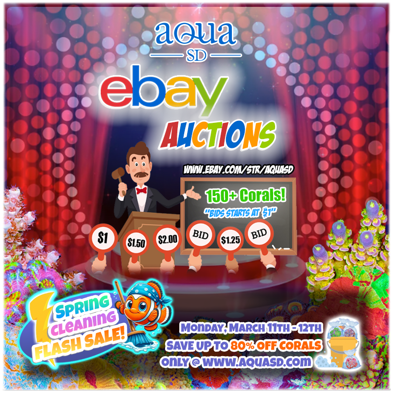 Ebay-03-12-24.png