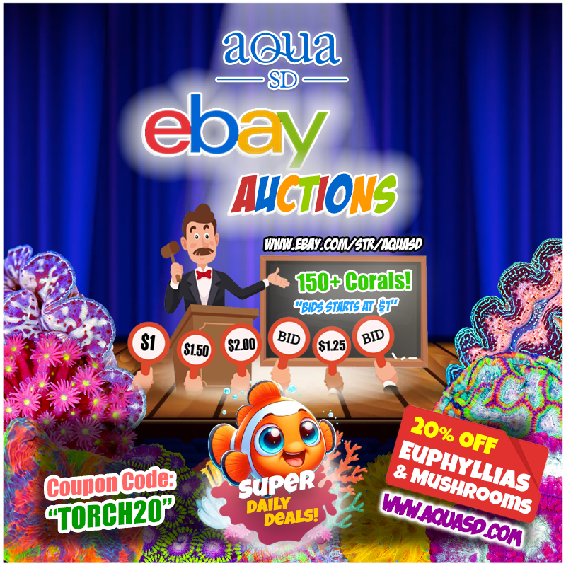 Ebay-03-21-24.png