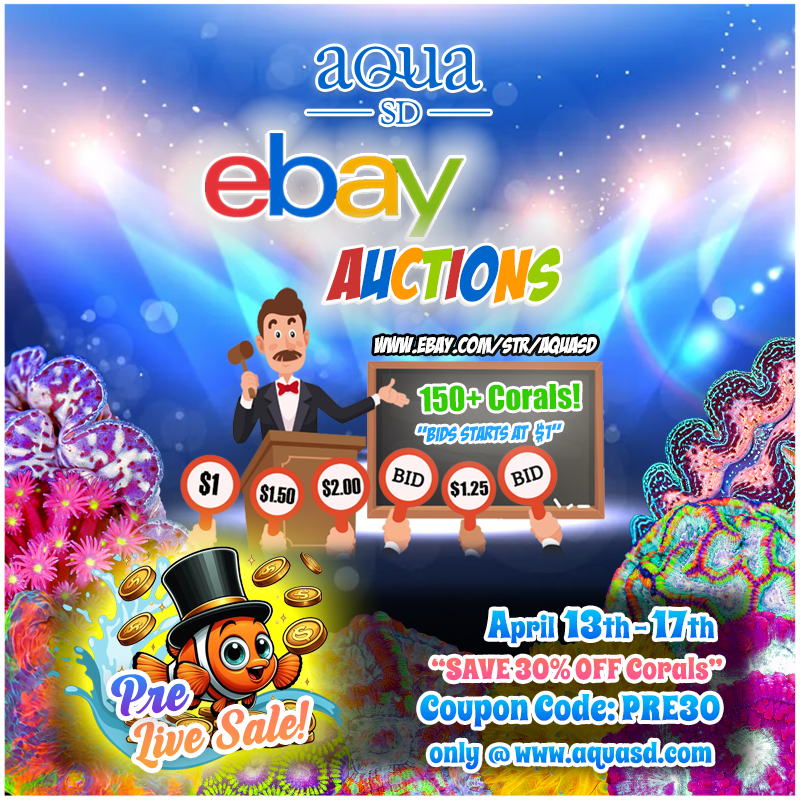 Ebay-04-13-24.png