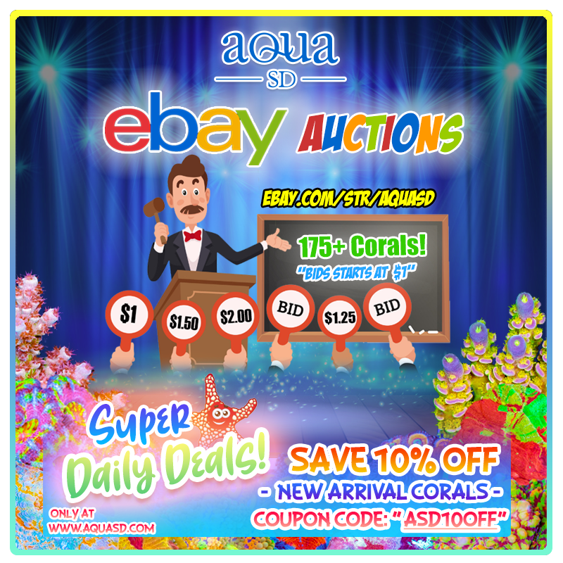 Ebay-07-29-21.png