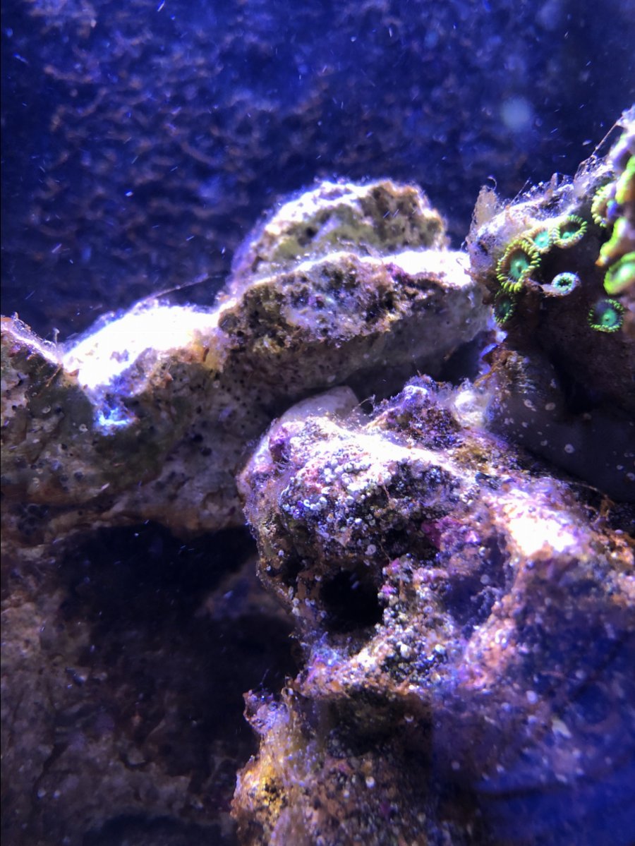 EBD38142-37F4-40EA-B022-581777D5D7D4.jpeg