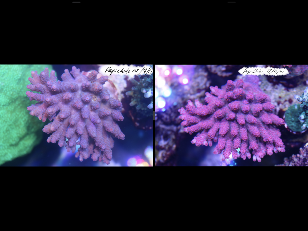 EC0097EF-C7C9-43EB-BB0B-3DF7B0D02772.png