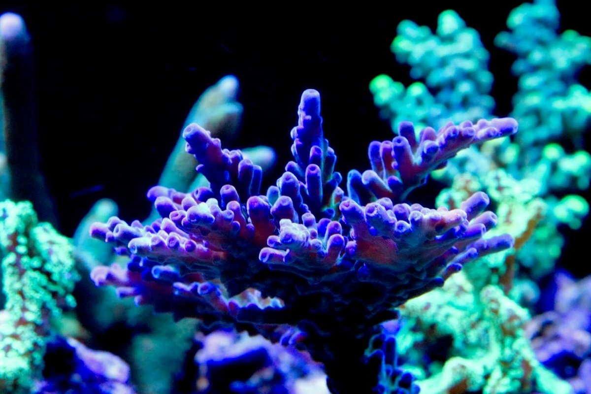 EC170881-9B8C-449F-9D97-78D027455C37.jpeg