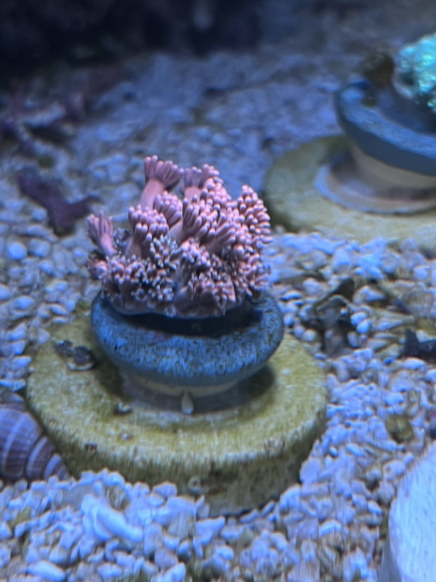 EC8F583B-20F7-431F-AE07-599407CA25FC.jpeg