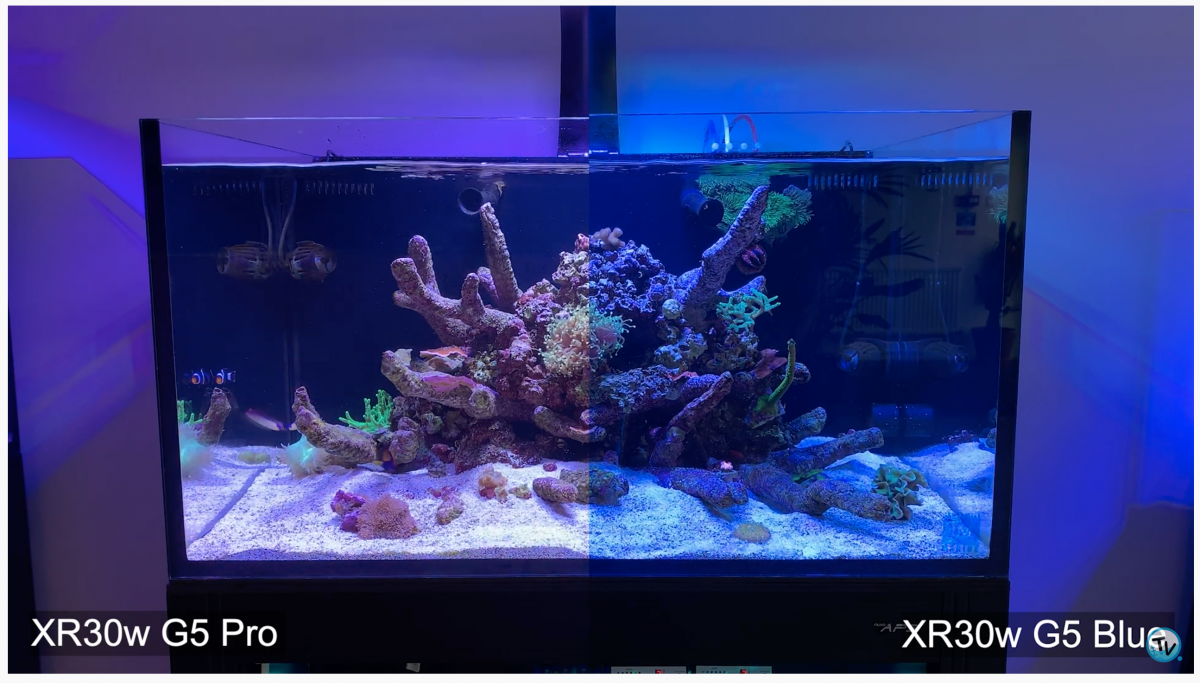 EcoTech Marine Radion G5 XR15 Pro Blue Unbox And Setup, 55% OFF