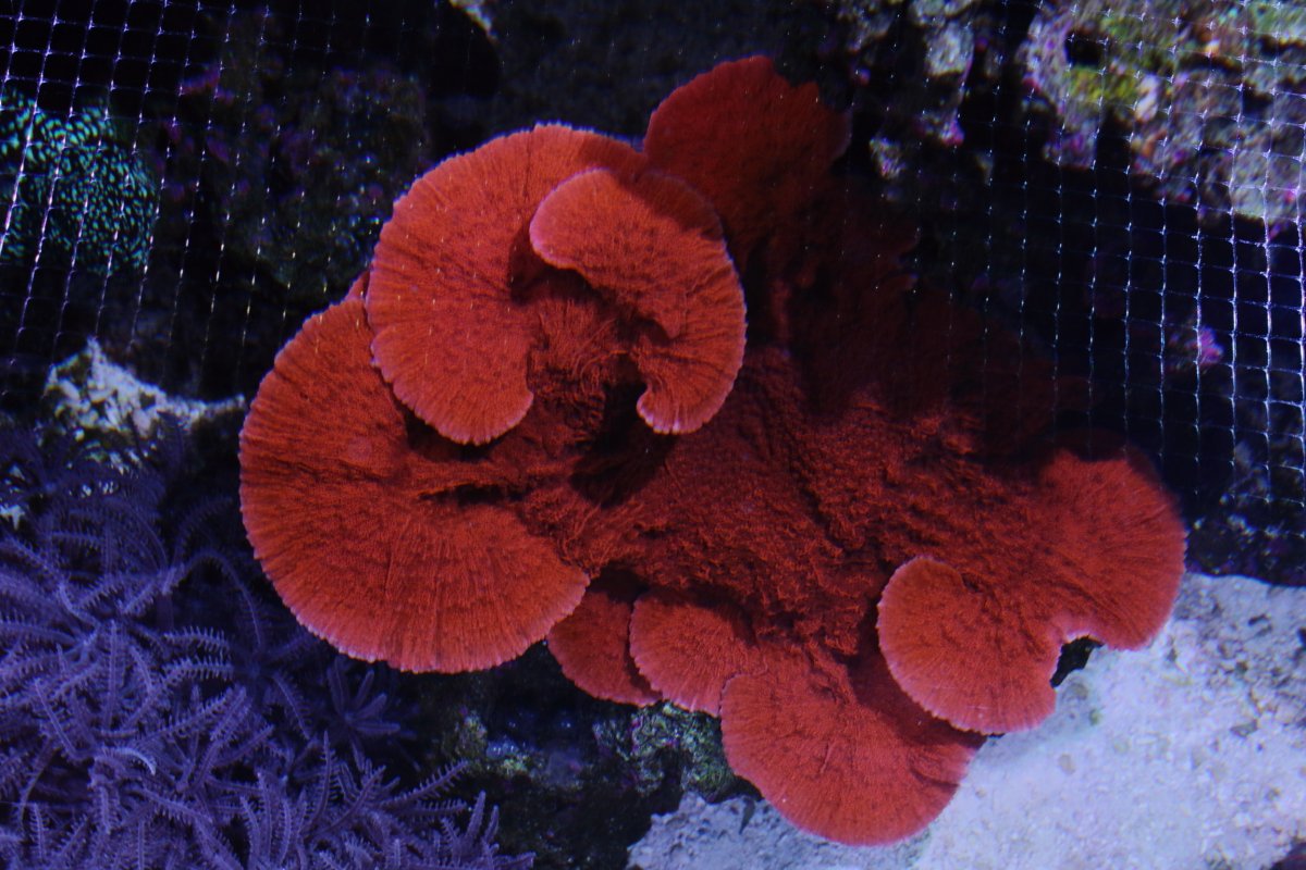 ED409476-E61B-4747-AA6A-3F28796F66E2.jpeg