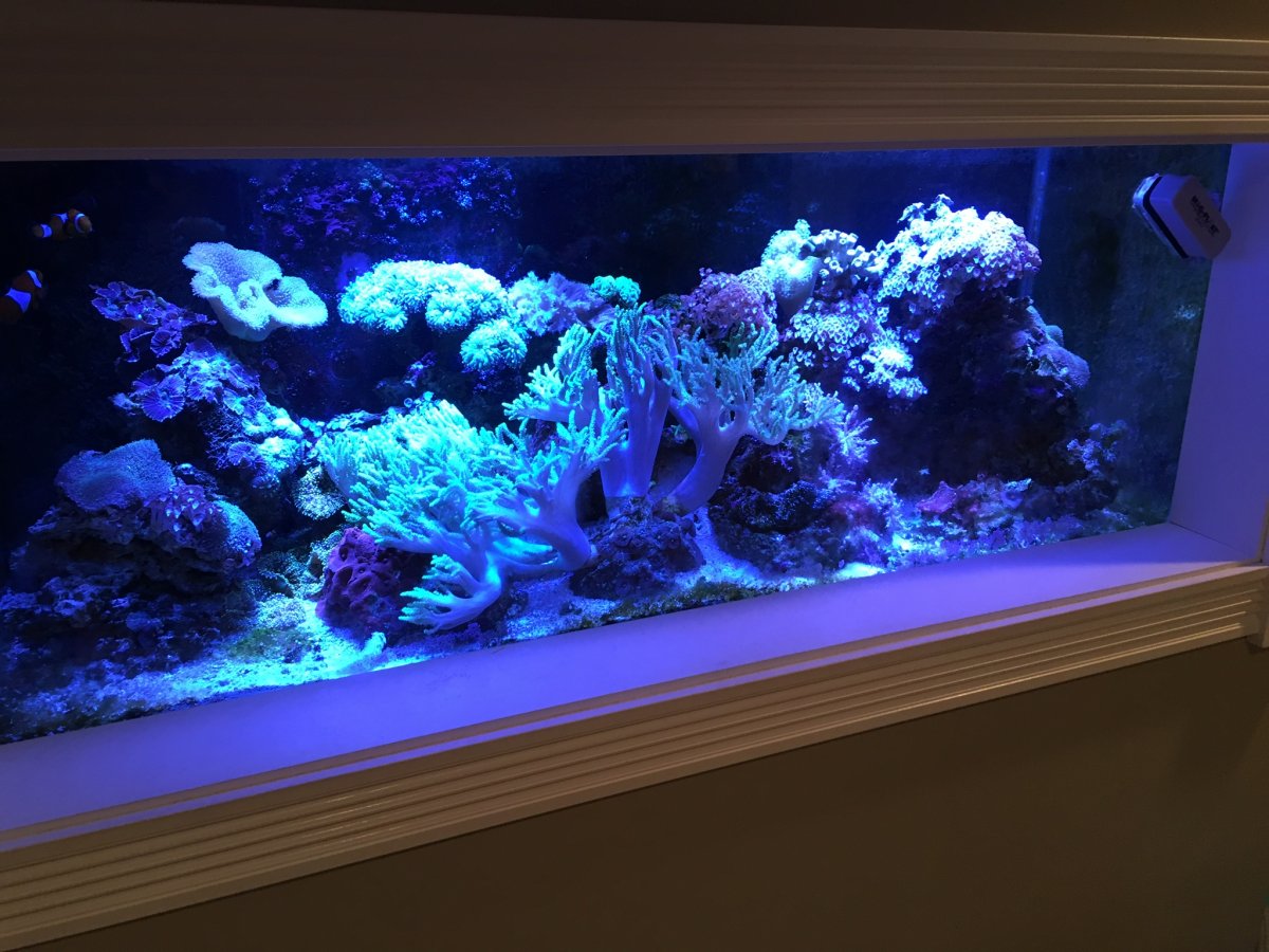 ED46DF1E-450B-454F-ADED-31969D009AB1.jpeg