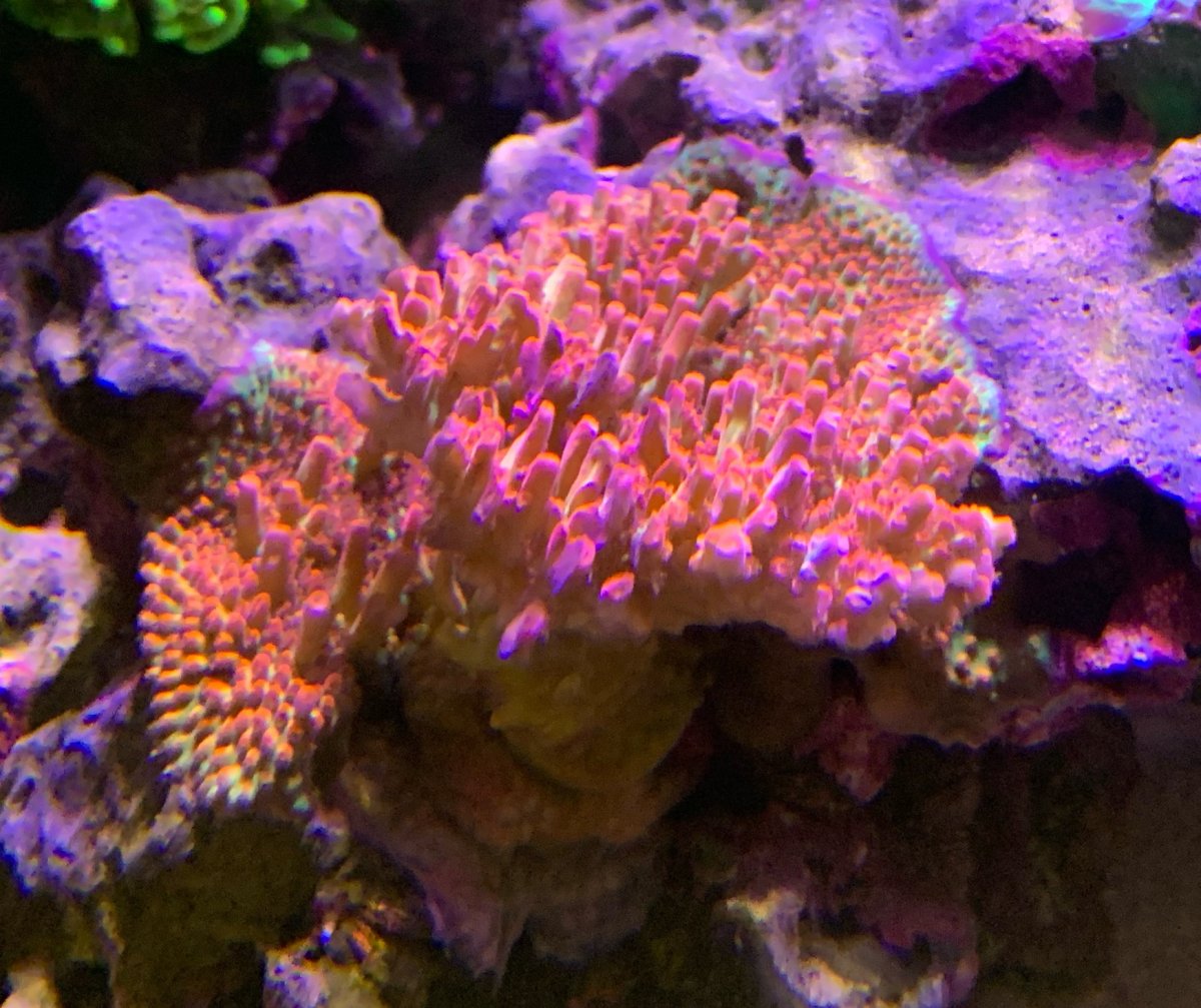 EE0839A9-E440-4D34-94FB-B32D2D08BA2E.jpeg