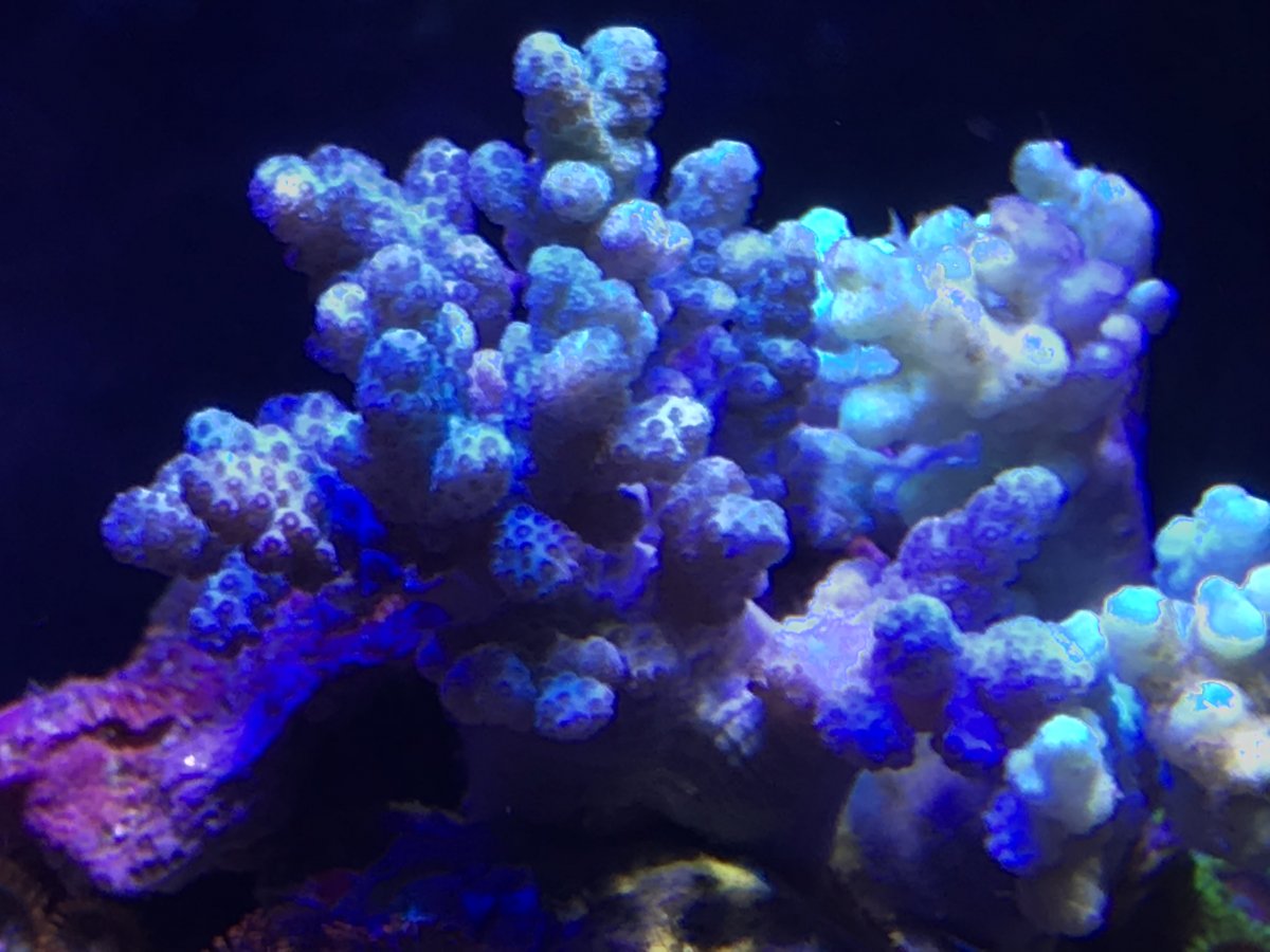 EE379BF7-C965-4A21-AFB9-54D9E841E4DE.jpeg