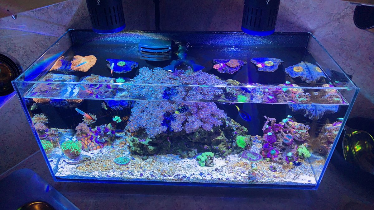 EE5AF602-96C4-4C57-BD90-E2EEDA46E979.jpeg