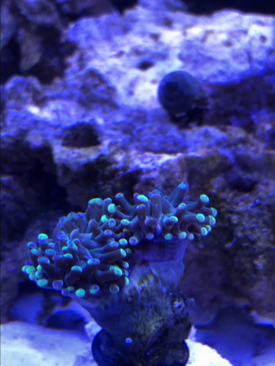 EEDCD730-691D-43A1-A722-FBFDC1FFA6D8.jpeg