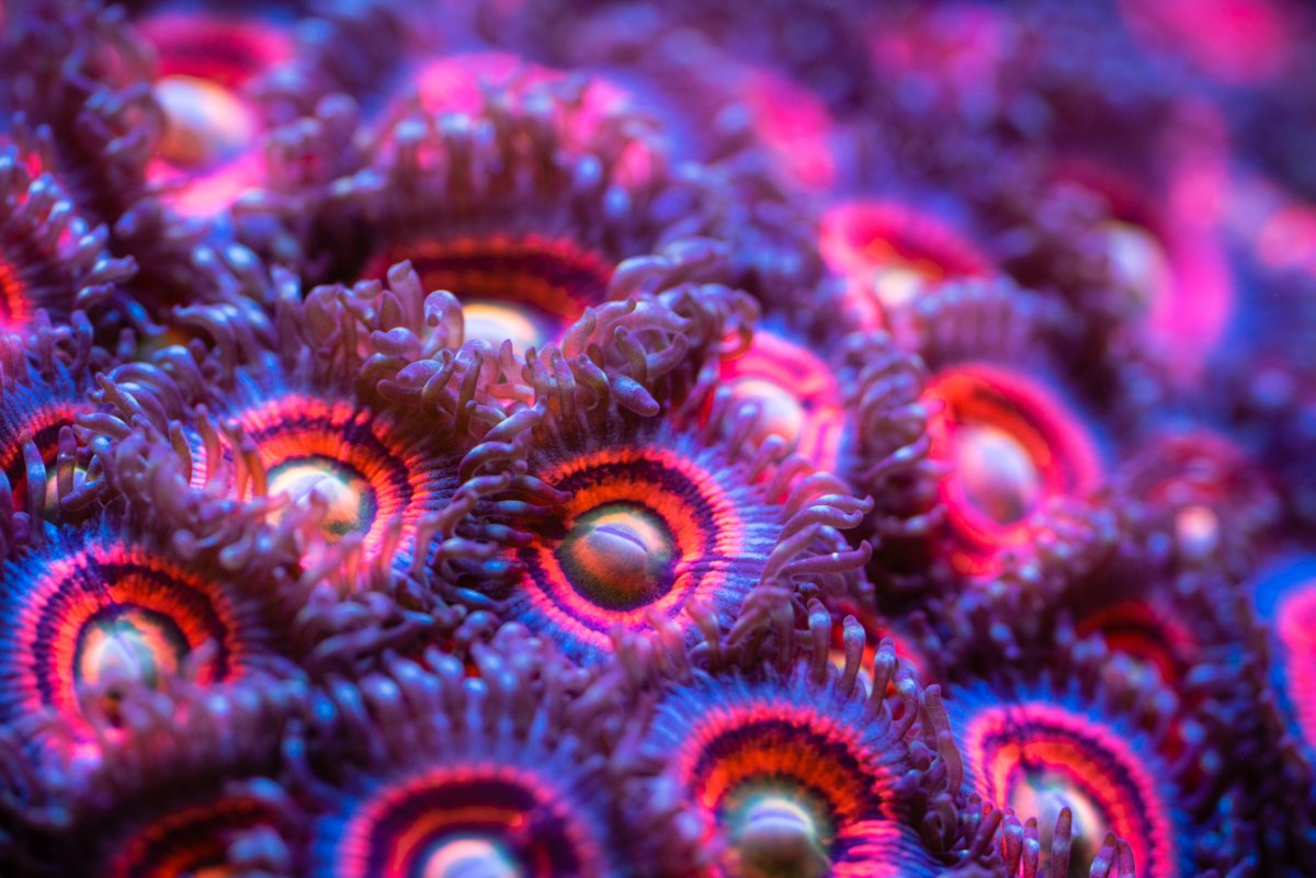 EF1E436C-F736-4EED-90A1-35D18980C9E6.jpeg