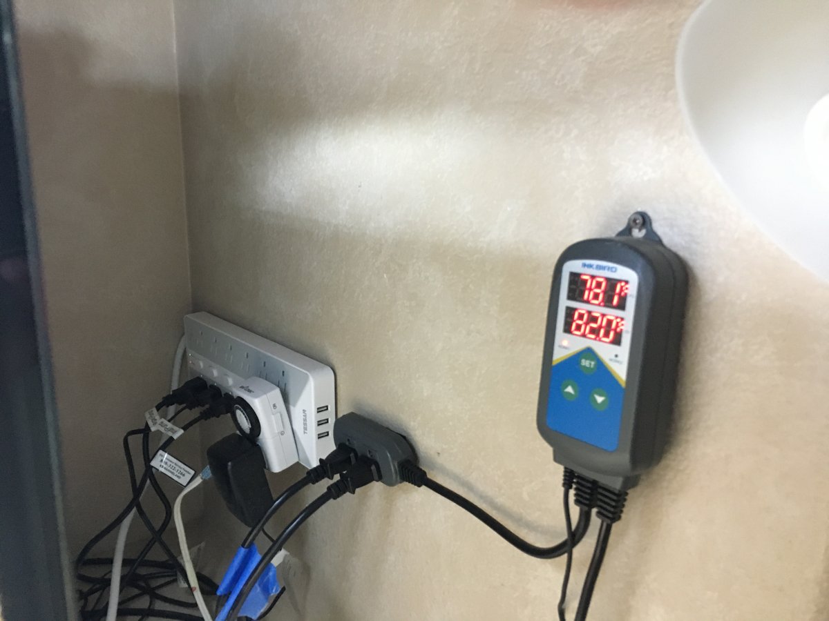 electrical.JPG