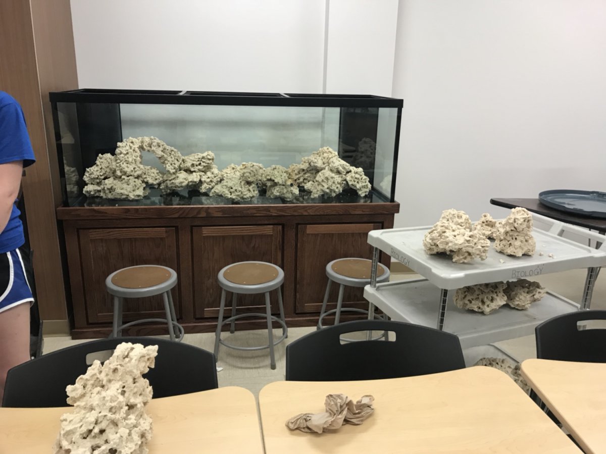 empty_aquascape.jpg