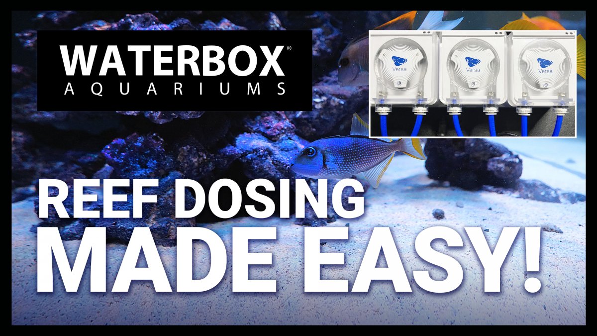 EP19-Reef-Tank-Parameters-Dosing.Thumbnail.Live.jpg