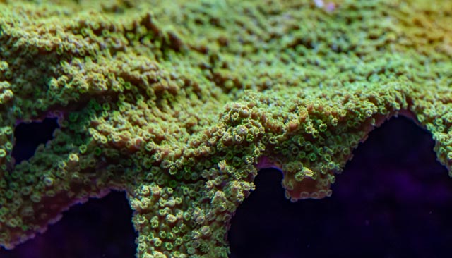 EX5A0051.jpg
