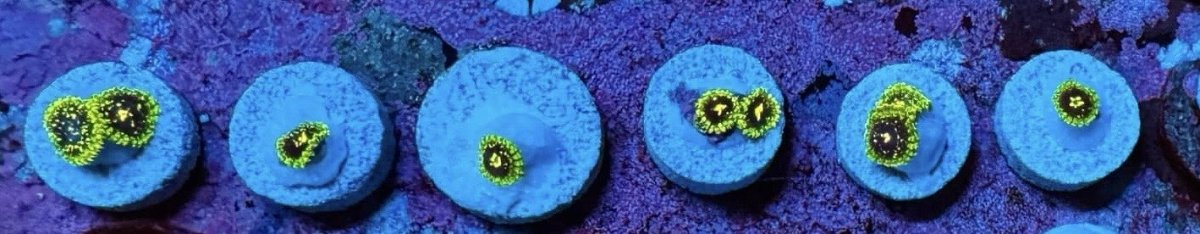 exospheres.jpg
