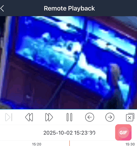 export_0.gif