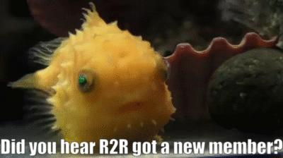 ezgif-2-e6437b6de1.gif