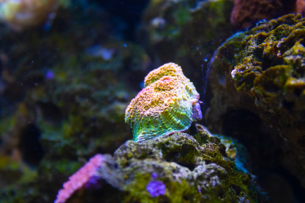 F0658C8E-FDC6-489A-9B98-ED0AE2EDB052.jpeg