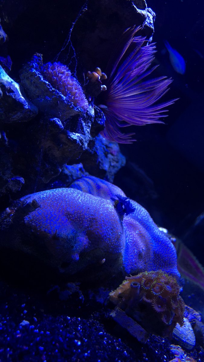 F0CEC501-AD80-41B0-BCEE-E27319A4E82E.jpeg