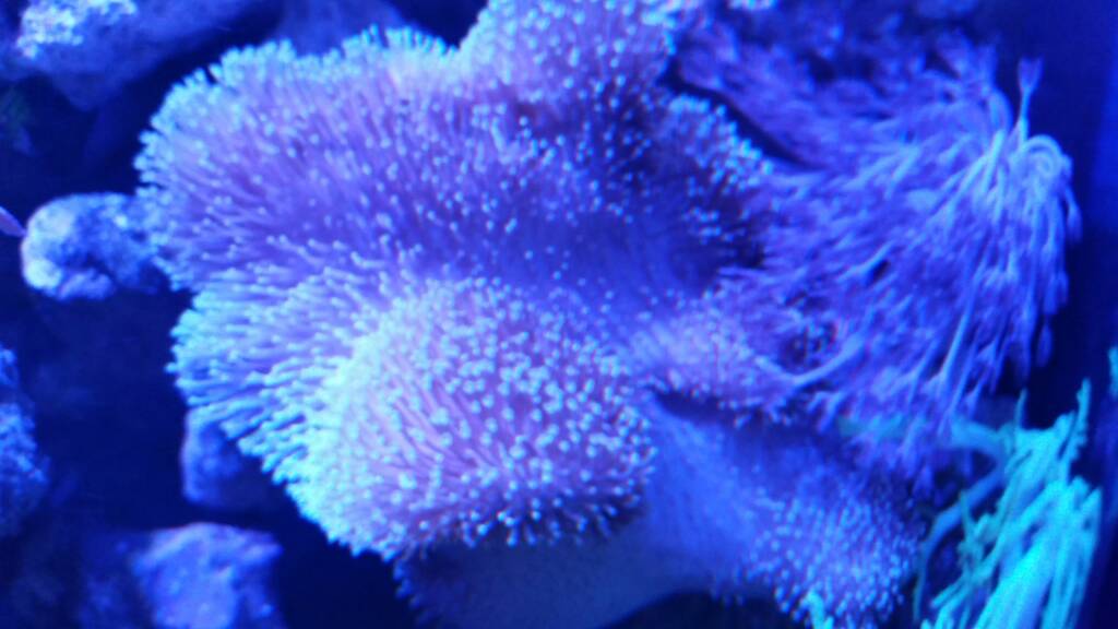 f0fdd352c79f604d30a811bc40143127.jpg