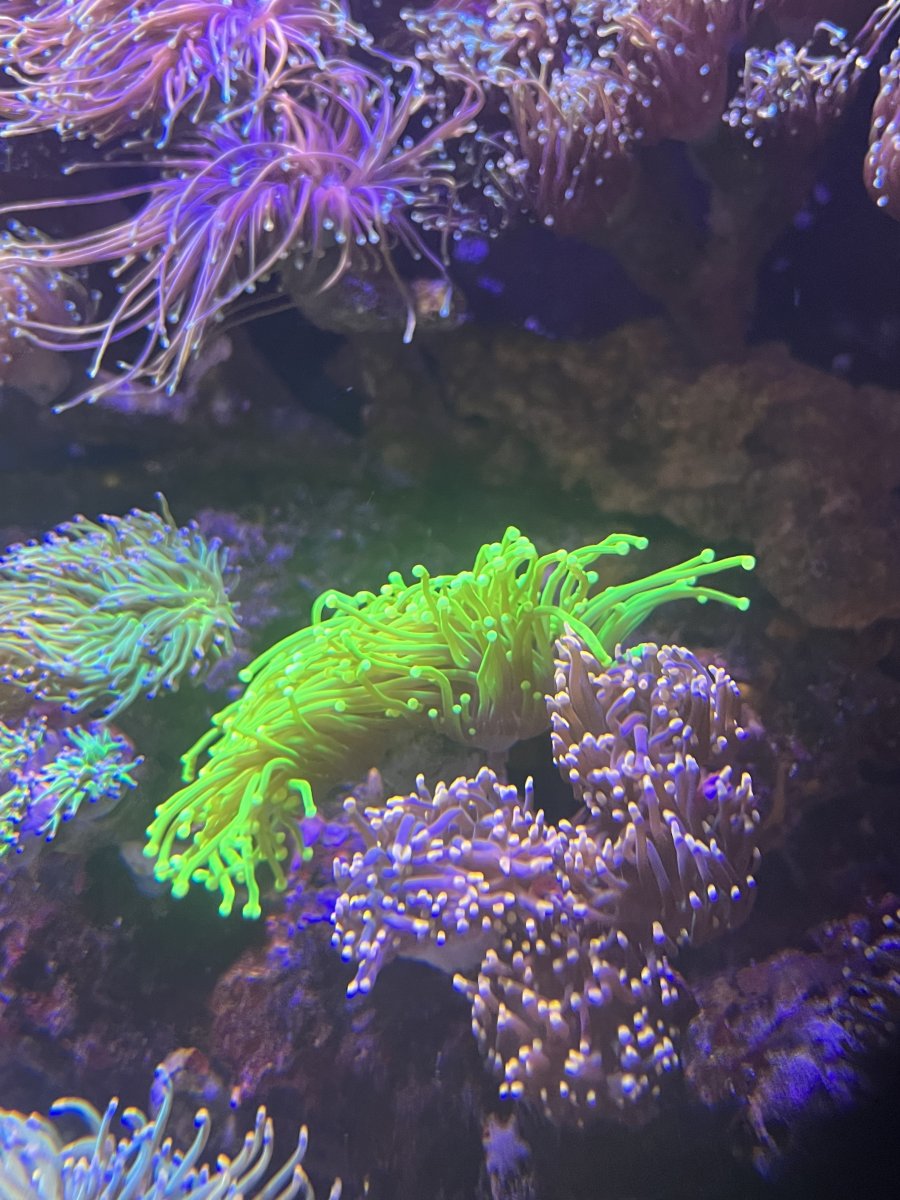 F17A0AD3-92AA-49D6-9FD0-E51556A4E722.jpeg