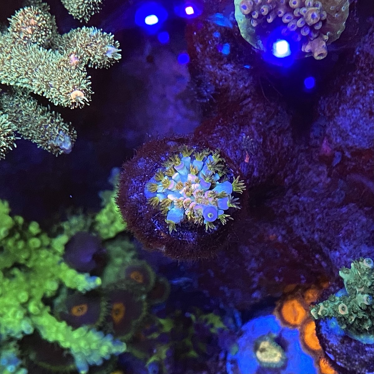 F1E6F844-47CB-4D82-82B4-465568BD5563.jpeg